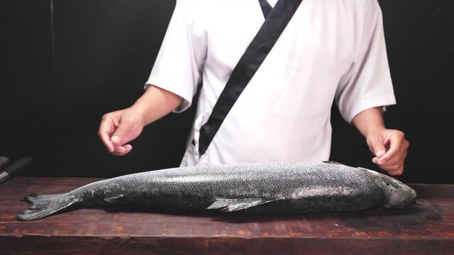 Chef's hand holding fresh piece of salmon.Closeup of chef hands preparing japanese food. Japanese chef making sushi at restaurant.Chef making traditional japanese sushi on wood board.