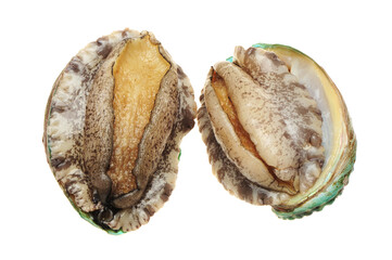 Raw abalones on white.