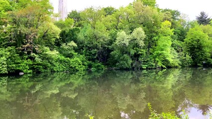 Pan View of Water Pond in Central Park