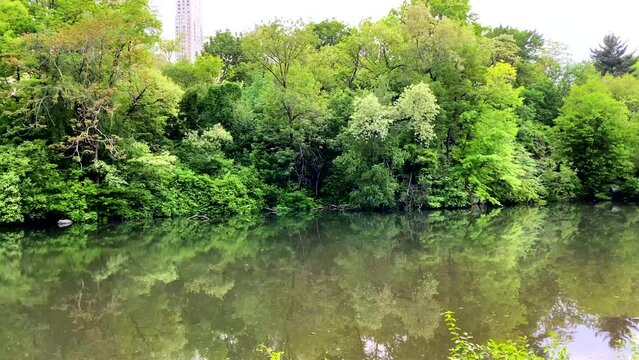 Pan View of Water Pond in Central Park