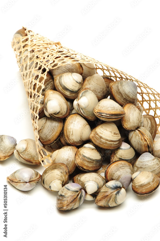 Poster stacked fresh raw clams on white background