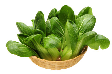 Pok Choi on white background