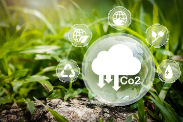 Sustainable development and business based on renewable energy. Reduce CO2 emission concept in the hand for environmental. - obrazy, fototapety, plakaty
