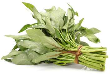 Water spinach isolated on white background