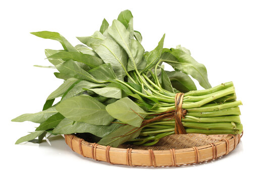 Water spinach isolated on white background