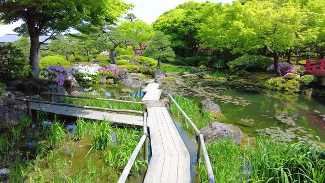 新緑が美しい日本庭園の池の移動撮影  4K  島根県由志園の春から初夏の風景