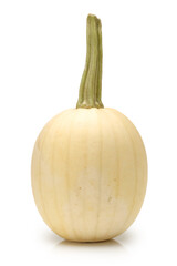 organic spaghetti squash Cucurbita pepo vegetable on white background