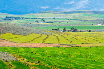 aerial view of green agricultural landscape looking over farms or farmland in Ceres, Western Cape,...