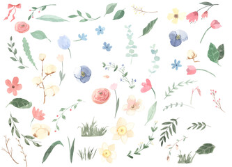 Watercolor  flowers and leaves, illustration for kids