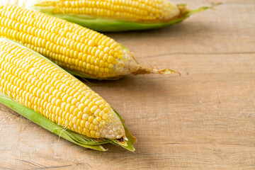fresh corn on wood background