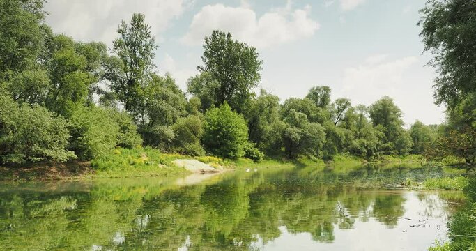 La petite Camargue Alsacienne dans le Haut-Rhin. Paysage sauvage et pittoresque de la r&eacute;serve naturelle et les eaux calmes du vieux Rhin le long du circuit sur &Icirc;le sur le Rhin
