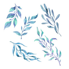 Pastel blue and lilac leaves collection. Hand drawn watercolor illustration. - 505346359
