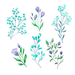 Blue and lilac flowers collection. Hand drawn watercolor illustration. - 505346369