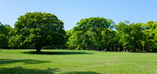 banner image of green park