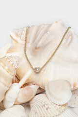 Necklase product shot. Gold necklace with round pendant on marine shell background. Jewelry fashion...