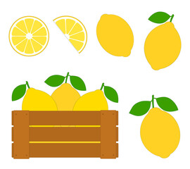 Set fruits lemons vector illustration	