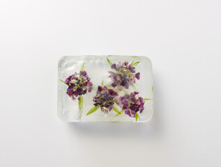High angle close up of purple sweet william dianthus flowers frozen in ice block on white...
