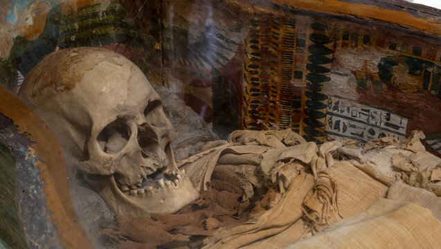 Istanbul, Turkey - March 21, 2019: Mummy skull of Sidonian King at Istanbul Archaeology Museum. Ancient skeleton head in crypt. Buried old mummified human body