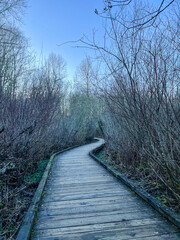 Fototapeta premium Lake to Lake Trail