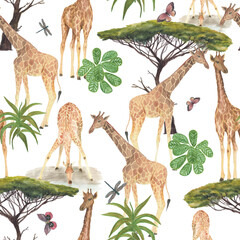 Watercolor painting seamless pattern with giraffes and acacia tree. African background - 505361599