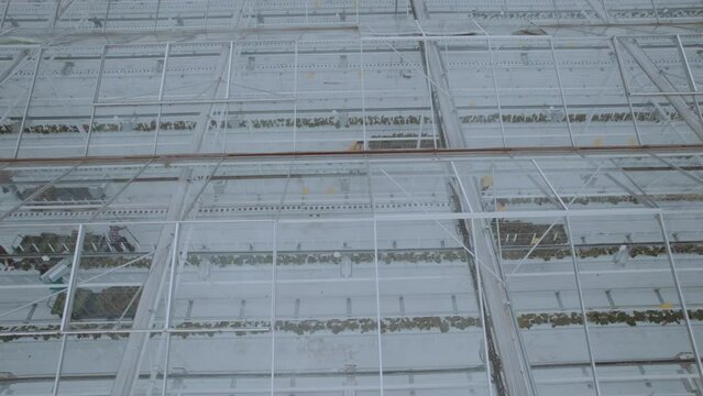 Aerial photography of a greenhouse complex through a transparent roof