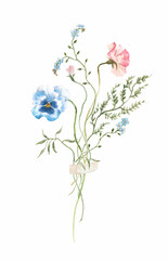 Beautiful stock illustration with hand drawn watercolor gentle field flowers. Floral composition.