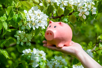 Girl holding piggy Bank against the background of blossoming pear
