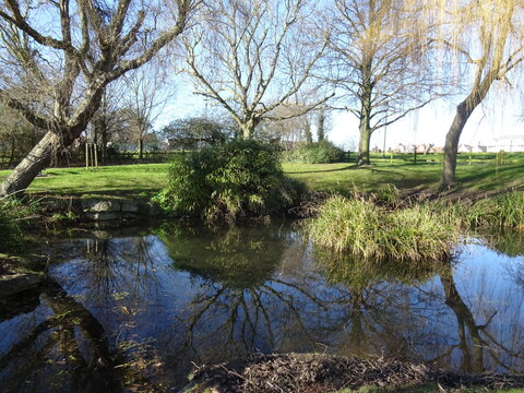 Reflections in Chalkwell Park
