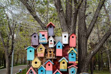 Colorful birdhouses, colored birdhouse hanging from a tree, wildlife, bird house, round hole, small...