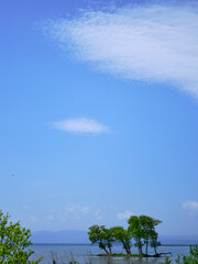 風景素材　初夏の陽射しに映える新緑と琵琶湖