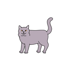 cat breed british shorthair contour sketch doodle illustration.