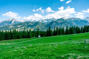 Góry Tatry Wysokie, widok z Rusinowej Polany. Wiosenny widok na ośnieżone szczyty. Tatrzański Park Narodowy.
