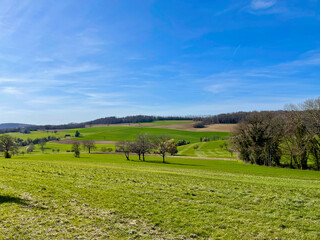 Alsatian plain natural landscape on a sunny summer day, with fields, trees and blue sky