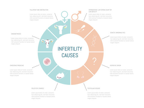 Infographic Of The Possible Causes Of Infertility In Men And Women.