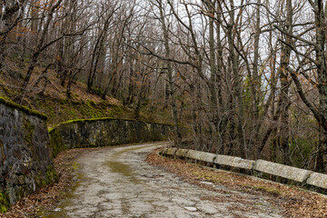 Old abandoned road with fenders in spring or autumn forest