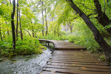 Plitvice Lakes National Park, Croatia, Europe: Green biotope with a boardwalk crossing the streams...