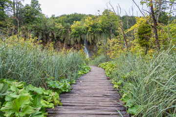 Plitvice Lakes National Park, Croatia, Europe: Boardwalk leading to a waterfall surrounded by a...