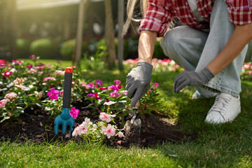 Close up of young woman in gloves using gardening tools for planting flowers on back yard. Young...