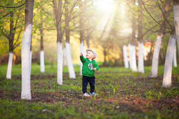 Fototapeta premium Full body view toddler boy in green hoodie and cap, walk in apple orchard during sunset in sunny evening rays. Nature, outdoor, leisure activity. Copy space.