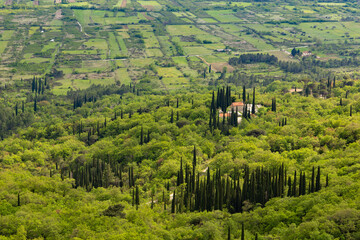 Fields and villages in Konavle region near Dubrovnik. Bird's-eye shot.