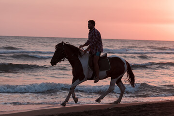 A modern man in summer clothes enjoys riding a horse on a beautiful sandy beach at sunset. Selective focus 