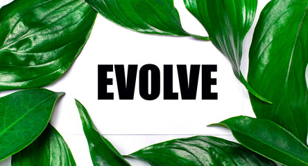 Against the background of green natural leaves, a white card with the text EVOLVE