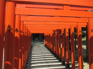 熊本市の水前寺成趣園内にある稲荷神社の赤い鳥居