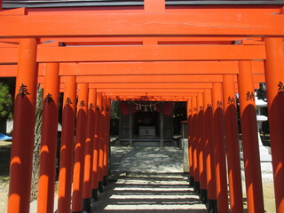 熊本市の水前寺成趣園内にある稲荷神社の赤い鳥居