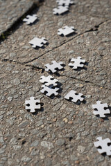 Jigsaw Puzzle Abandoned on Sidewalk - 505390313