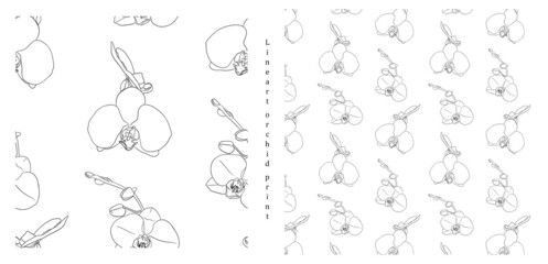 Pattern with orchid branches, flowers, buds, vertical linear ornament with black outline. Vector illustration for festive design, packaging, wallpaper, fabric, stationery, accessories and more.