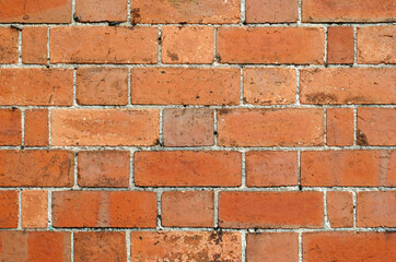 Obraz premium Red Textured Btrick Wall in Close Up 