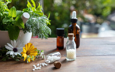 Obraz na płótnie Canvas Homeopathy pharmacy, natural medicine. Homeopathic globule and bottle, green herb background