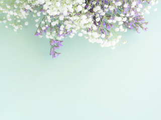 Purple flowers with white gypsophila on turquoise spring background