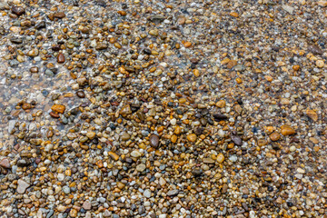 Wet bright shining pebble stones on the beach. Colorful pebbles background.